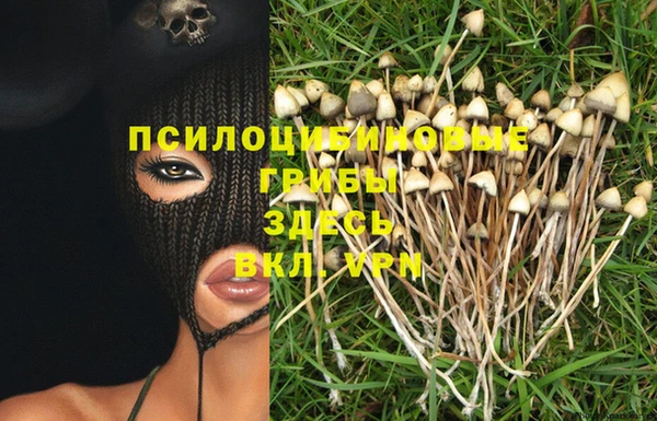 мяу мяу мука Абинск