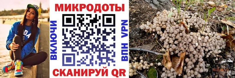 это телеграм  Полтавская  ОМГ ОМГ онион  Псилоцибиновые грибы Psilocybine cubensis  даркнет сайт 